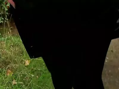 টাক ভদ্রলোক তাকে হট এন্ড সেক্স ভিডিও একটি ডগি স্টাইলের অবস্থানে প্রবেশ করতে ভালবাসেন